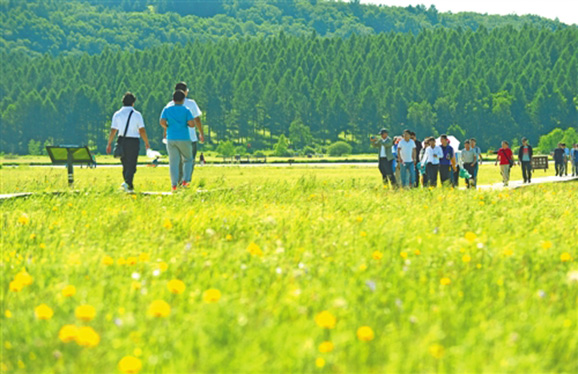 林海茫茫，直入天際；涼風(fēng)習(xí)習(xí)，清爽宜人。夏日塞罕壩，草木蔥蘢，游人如織