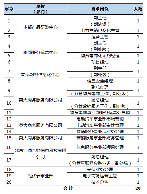 國網(wǎng)電子商務(wù)有限公司是國家電網(wǎng)公司的全資子公司，成立于2016年1月，注冊資本10億元。目前擁有電e寶、國網(wǎng)商城、國網(wǎng)電商金融三大電商業(yè)務(wù)平臺