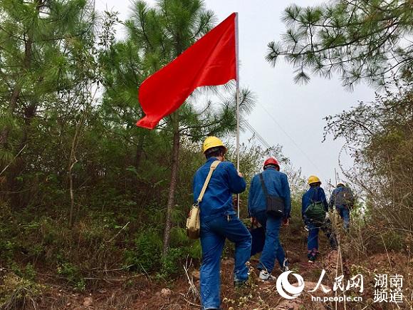 
　　“天氣異常時(shí)，塑料飄浮造成線路短接放電、線路跳閘、人員傷害。安排護(hù)線員廖華來到現(xiàn)場核實(shí)大棚是否有異常……”湖南省電網(wǎng)工程公司在十九大期間，運(yùn)檢專業(yè)保障供電工作實(shí)施細(xì)則中，江城線1331-1332段的實(shí)施方案上這樣寫到