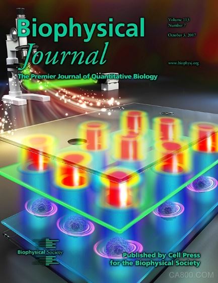 
                    
	 近日，国际着名学术期刊Biophysical Journal（中科院二区TOP类期刊，影响因子3.656）以封面论文形式刊载了中国科学院沈阳自动化研究所微纳米课题组利用微纳操控在细胞信息获取领域的最新研究成果——Determination of cell membrane capacitance and conductance via optically induced electrokinetics。


	 


	  人类