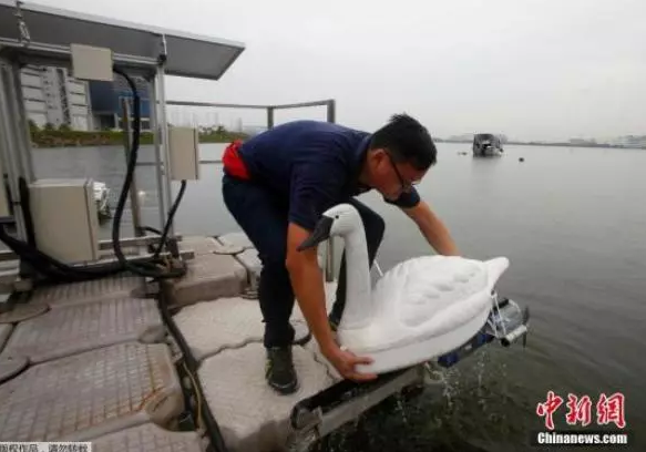 
            	新加坡四面環(huán)海，年均降雨量接近2400毫米，遠高于全球平均水平1050毫米，但由于國土面積小又缺乏自然湖泊， 蓄水能力有限，大量雨水直接流入海洋，日常生活和工業(yè)生產(chǎn)所需要的淡水資源依然極度匱乏。資料圖：新加坡水質(zhì)研究員將檢測湖水質(zhì)量的機器做成了天鵝的形狀，從遠處看去，就像湖里漂著幾只白天鵝一樣