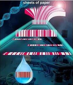 
            	近日，國家納米科學(xué)中心蔣興宇研究員、張偉研究員和楊明珠博士通過紙的堆疊和切削加工技術(shù)，開發(fā)了一種條碼化紙基芯片的大規(guī)模制造方法和一種可用條碼讀取器進(jìn)行結(jié)果讀出的多重檢測方法，為傳統(tǒng)材料（紙）的新功能和新應(yīng)用開發(fā)提供了思路。相關(guān)研究成果“Skiving stacked sheets of paper into test paper for rapid and multiplexed assay”被Science Advances雜志于2017年12月1日在線發(fā)表