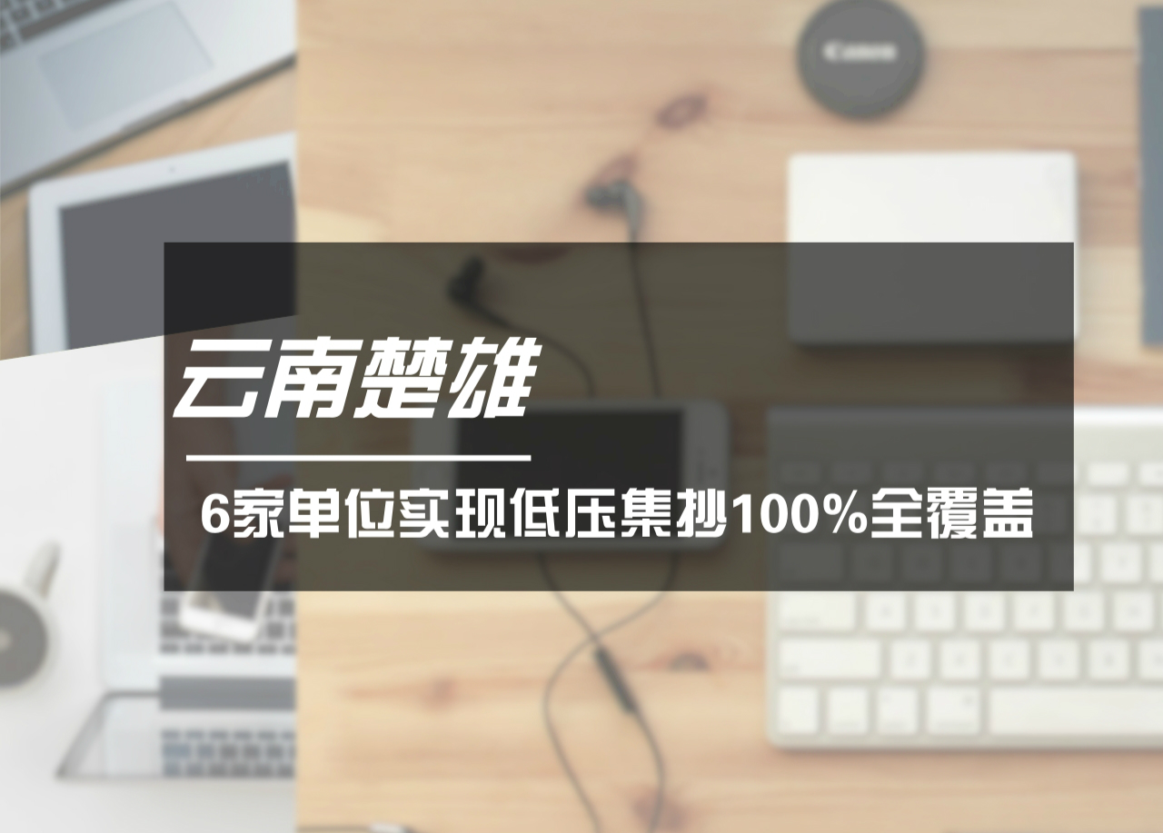 　　2017年，通過不懈努力，云南楚雄電網(wǎng)武定供電局等6家單位低壓集抄實(shí)現(xiàn)100%全覆蓋，實(shí)現(xiàn)了楚雄電網(wǎng)低壓集抄全覆蓋零的突破，并超額完成年度建設(shè)目標(biāo)。  　　楚雄供電局結(jié)合實(shí)際，深入調(diào)研，結(jié)合楚雄電網(wǎng)十家供電單位低壓集抄覆蓋水平，提出了低壓集抄建設(shè)“抓兩頭，促中間”的工作方針，快速推進(jìn)楚雄電網(wǎng)低壓集抄建設(shè)工作，確定了在2017年內(nèi)要有5家縣級(jí)單位完成低壓集抄全覆蓋工作目標(biāo)，即牟定、永仁等5家單位低壓集抄覆蓋率達(dá)到100%