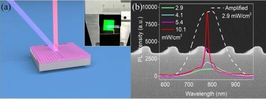 
            	復(fù)旦大學(xué)光科學(xué)與工程系吳翔教授、陸明教授和光源與照明工程系張樹(shù)宇副教授合作團(tuán)隊(duì)，基于所研發(fā)的高增益硅納米晶薄膜，成功研制出世界上首個(gè)全硅激光器。這一成果近期在Science Bulletin以快報(bào)形式報(bào)道
