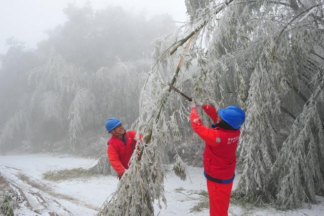 　　1月28日，國(guó)網(wǎng)浙江省電力有限公司啟動(dòng)雨雪冰凍三級(jí)應(yīng)急響應(yīng)，部署防冰抗冰舉措，全力抵御雨雪冰凍天氣，搶修受損線路，以最快速度恢復(fù)供電，保障居民用戶用電安全。截止28日10時(shí)，全省10千伏及配網(wǎng)線路累計(jì)跳閘38次，受影響臺(tái)區(qū)679個(gè)，受影響用戶31024戶