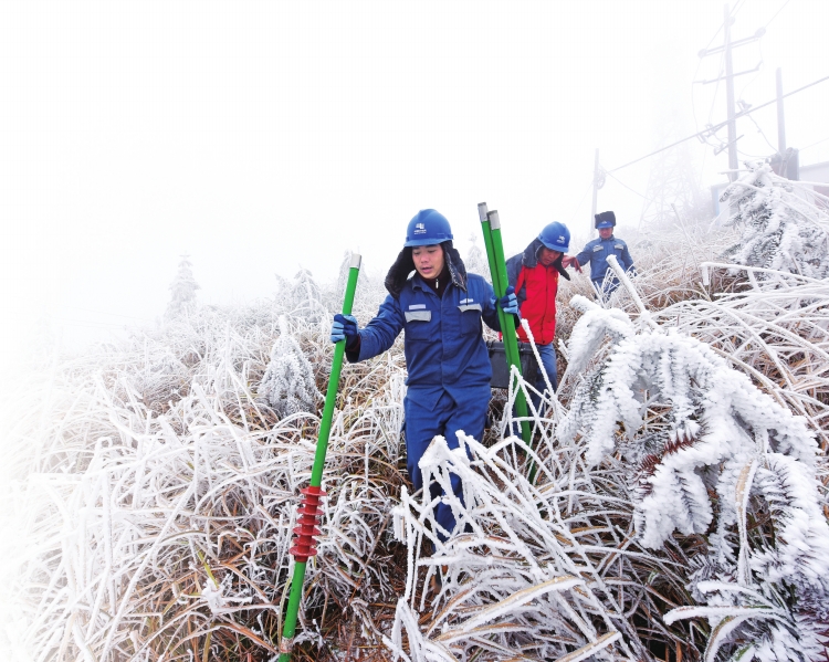 
　　1月28日，廣西電網(wǎng)公司桂林靈川供電公司大圩供電所設(shè)備維護(hù)班工作人員何斌、秦瑞華、趙文剛在10千伏大境樂(lè)育線85號(hào)桿地段進(jìn)行特巡?！〔芪?張梁 攝

　　編者按：近日，南方迎來(lái)入冬以來(lái)影響范圍最廣、持續(xù)時(shí)間最長(zhǎng)的低溫雨雪天氣，南方多省份開(kāi)啟“冰凍”模式