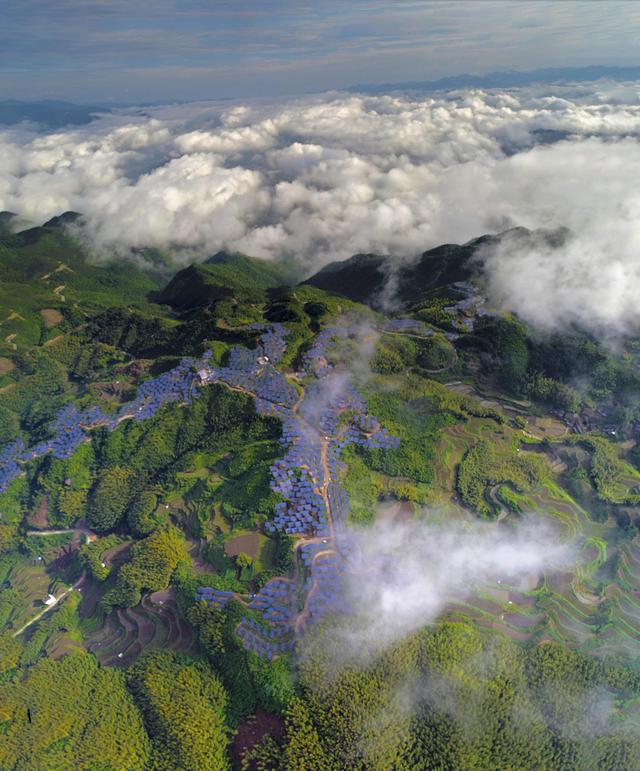 
　　國網(wǎng)浙江電力員工主動對接服務(wù)的麗水山區(qū)光伏電站順利投產(chǎn)。鄭建攝

　　溫州南麂島離網(wǎng)型微電網(wǎng)示范工程、紹興上虞交直流混合微電網(wǎng)示范工程、嘉興城市能源互聯(lián)網(wǎng)綜合試點(diǎn)示范項(xiàng)目、京杭大運(yùn)河綠色岸電全覆蓋示范項(xiàng)目、沃爾沃小鎮(zhèn)區(qū)域能評示范項(xiàng)目……在國網(wǎng)浙江省電力有限公司，一大批為滿足終端客戶多元化能源生產(chǎn)與消費(fèi)而生的工程項(xiàng)目正在穩(wěn)定運(yùn)行中；為適應(yīng)能源發(fā)展趨勢，國網(wǎng)浙江電力將原國網(wǎng)浙江浙電節(jié)能服務(wù)有限公司更名為國網(wǎng)浙江綜合能源服務(wù)有限公司（以下簡稱“浙電能源”