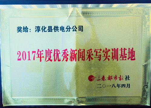 《三秦網(wǎng)》、《三秦都市報》授予2017年優(yōu)秀新聞采寫實訓基地，同時該公司王鋒被評授予“優(yōu)秀通訊員”光榮稱號。2017年，為把握正確輿論導向，培養(yǎng)通訊宣傳方面人才，樹立和宣揚公司良好形象，淳化縣供電分公司一直以來致力于認真落實集團公司和市公司黨委有關(guān)工作部署，在不斷提高各級專兼職通訊員思想素質(zhì)和業(yè)務能力的基礎上，通過硬性指標績效考核，不斷激發(fā)大家的寫稿、投稿積極性，很好地促進了公司宣傳報道工作的健康開展，被據(jù)不完全統(tǒng)計，2017年，在全公司通訊員的共同努力下，共在各類各級報紙、網(wǎng)站等媒體共刊發(fā)稿件1000 