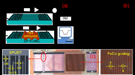 　　【中國儀表網(wǎng) 儀表研發(fā)】在當(dāng)今的信息社會(huì)中，磁場傳感器已成為信息技術(shù)和信息產(chǎn)業(yè)中不可缺少的基礎(chǔ)元件。  　　圖1(a)聲表面波磁場傳感器的基本結(jié)構(gòu)，(b)傳感器件響應(yīng)，(c)沉積柵陣化鐵鈷薄膜的傳感器件  圖2 沉積鐵鈷薄膜與柵陣的傳感器性能對比，(a)磁滯誤差測試，(b)靈敏度測試 　　目前，人們已研制出利用各種物理、化學(xué)和生物效應(yīng)的磁場傳感器，并已在科研、生產(chǎn)和社會(huì)生活的各個(gè)方面得到廣泛應(yīng)用，承擔(dān)起探究種種信息的任務(wù)