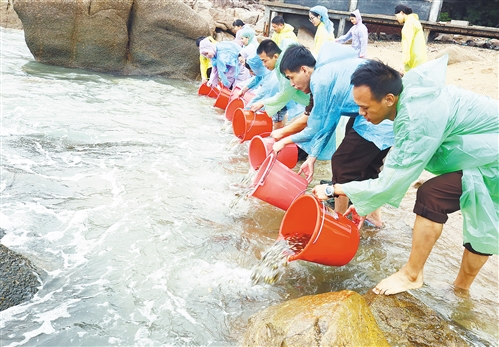  




　　在海南省三亞市南山景區(qū)，參加放魚活動(dòng)的志愿者將魚苗放入大海（2018年6月6日攝）。
　　6月8日是由聯(lián)合國(guó)大會(huì)確定的“世界海洋日”，旨在提醒人類關(guān)注賴以生存的海洋，發(fā)現(xiàn)海洋所蘊(yùn)含的豐富價(jià)值，審視全球性污染和對(duì)魚類資源過(guò)度消耗等問(wèn)題給海洋環(huán)境和海洋生物帶來(lái)的不利影響