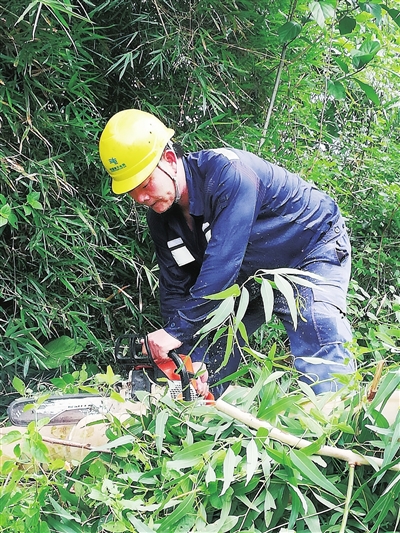 
　　臺風登陸前一天，為保障高考考點電力供應，廣東電網(wǎng)公司茂名高州供電局寶光供電所人員對高州中學線進行特巡特維。圖為供電人員在清理樹障