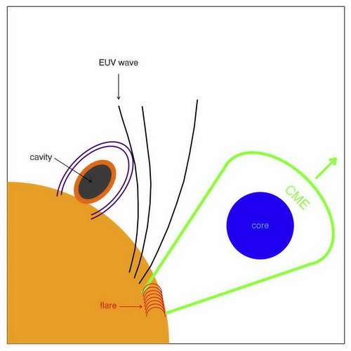 　　【中國(guó)儀表網(wǎng) 儀表研發(fā)】最近，中國(guó)科學(xué)院紫金山天文臺(tái)青促會(huì)會(huì)員、太陽活動(dòng)的多波段觀測(cè)研究團(tuán)組副研究員張擎旻等在日珥大幅度振蕩研究領(lǐng)域取得系列進(jìn)展。  　　圖：伴隨太陽爆發(fā)活動(dòng)(耀斑和日冕物質(zhì)拋射)的極紫外波(EUV wave)與日冕空腔(cavity)相互作用的示意圖，空腔內(nèi)的日珥經(jīng)歷了垂直方向的振蕩