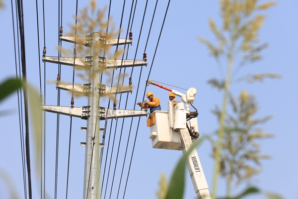 

　　農(nóng)村電氣化網(wǎng)訊：7月3日，山東省梁山縣供電公司員工在同桿架設(shè)的10千伏水泊中路1線、水泊中路Ⅱ線、碼頭線、建青線7號桿帶電更換存在打火安全隱患的復(fù)合絕緣子，消除設(shè)備隱患，保證線路安全穩(wěn)定運(yùn)行。

　　在消缺作業(yè)現(xiàn)場，帶電作業(yè)人員孫久遠(yuǎn)、胡繼峰穿上絕緣服，戴上三層緣手套，全副絕緣武裝，乘坐絕緣斗臂車攜帶絕緣工具材料升至空中將10千伏線路遮蔽、包裹、隔離，兩人互相配合折除舊絕緣子，更換新絕緣子