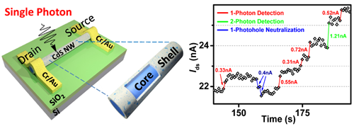 　　【中國儀表網(wǎng) 儀表研發(fā)】近日，中國科學院上海技術(shù)物理研究所紅外物理國家重點實驗室胡偉達、陳效雙、陸衛(wèi)課題組在室溫納米線單光子探測器研究中取得進展。該實驗室相關(guān)研究人員利用納米線內(nèi)稟的Photogating效應(yīng)首次在單根納米線上實現(xiàn)室溫下單個光子的探測