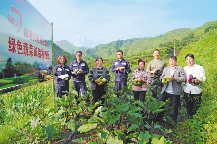 
　　留田村隸屬于云南省曲靖宣威市楊柳鎮(zhèn)，地處高山崇嶺中，村民賴以生存的耕地都在陡峭的山坡上，脫貧致富的夢想更寄托在那里。自從今年3月份來到這里駐村扶貧后，云南電網(wǎng)曲靖供電局留田村第一書記李修權(quán)帶著蔡俊強(qiáng)和陳海云兩名扶貧工作隊員，和貧困戶們一起弄起了58畝的露天蔬菜基地，因地制宜開展當(dāng)?shù)孛撠氈赂划a(chǎn)業(yè)