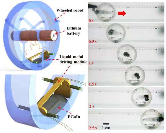 　　【中國儀表網 儀表下游】近日，中國科學技術大學精密機械與精密儀器系副教授張世武研究團隊、澳大利亞伍倫貢大學教授李衛(wèi)華研究團隊和蘇州大學機器人與微系統(tǒng)中心副教授李相鵬研究團隊組成的聯(lián)合研究組，設計了基于鎵基室溫液態(tài)金屬的新型機器人驅動器，首次實現(xiàn)了液態(tài)金屬驅動的功能性輪式移動機器人。近日，該成果以A Wheeled Robot Driven by a Liquid‐Metal Droplet 為題，發(fā)表在《先進材料》雜志上(Adv. Mater. 2018, 201805039)