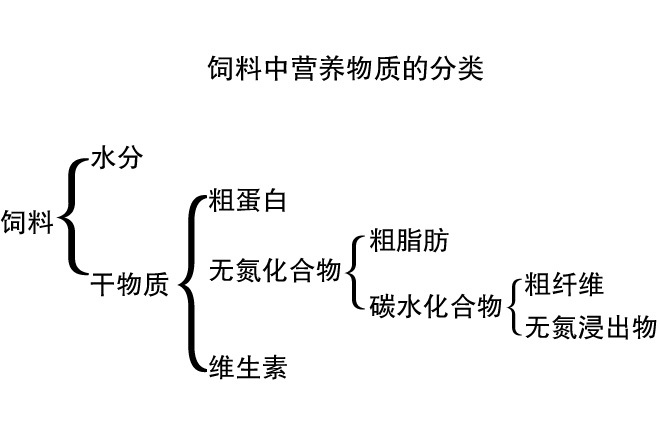 原標(biāo)題：蝎子所需的營養(yǎng)物質(zhì)有哪些?            蝎子維持生命活動(dòng)，進(jìn)行新陳代謝，必須通過采食飼料從外界攝食多種營養(yǎng)物質(zhì)。飼料中營養(yǎng)物質(zhì)的分類如下： 蝎子所需的營養(yǎng)物質(zhì)有哪些? 由此可見，蝎子從飼料中攝入的主要營養(yǎng)物質(zhì)為:水、蛋白質(zhì)、脂肪、碳水化合物、礦物質(zhì)和維生素